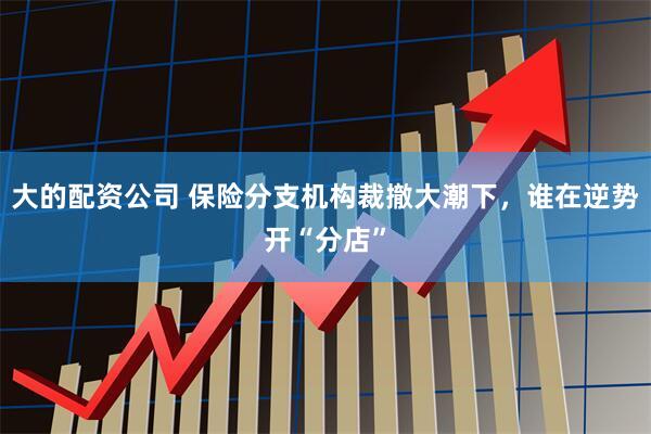 大的配资公司 保险分支机构裁撤大潮下，谁在逆势开“分店”