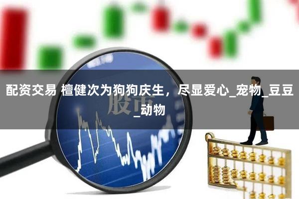配资交易 檀健次为狗狗庆生，尽显爱心_宠物_豆豆_动物
