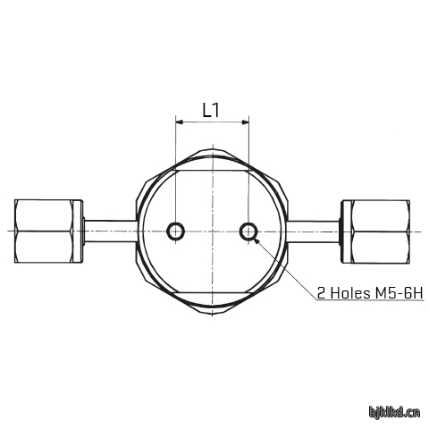 Diaphragm Press. Regulator FSM/FSF 1/4 SS316L PCTF Ra