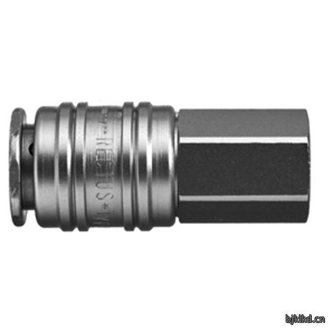48060610 Quick Coupling