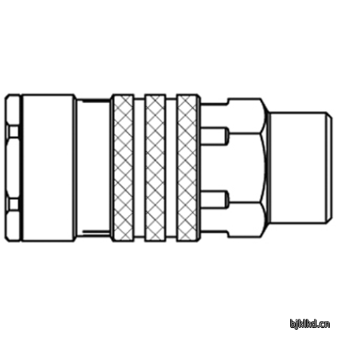 48900920 Quick Coupling