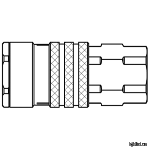 48900935 Quick Coupling