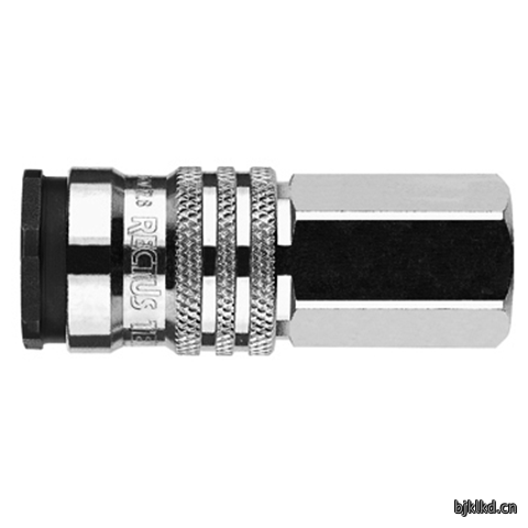 48901650 Quick Coupling