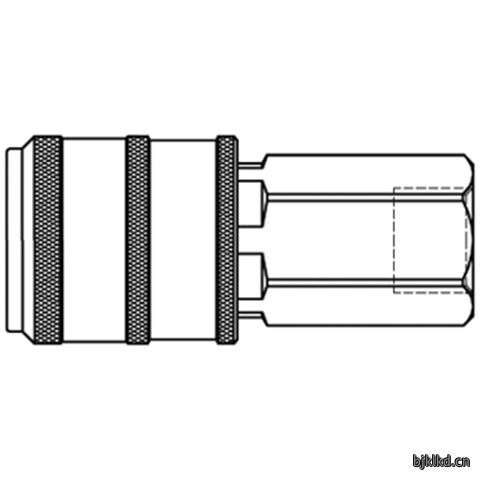 48147420 Quick Coupling