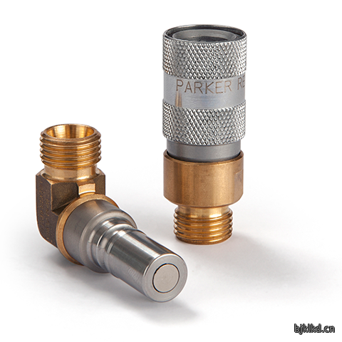 48401395 Quick Coupling