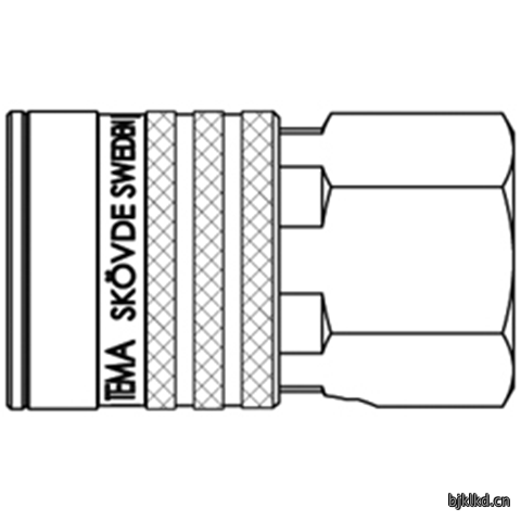 48062300 Quick Coupling