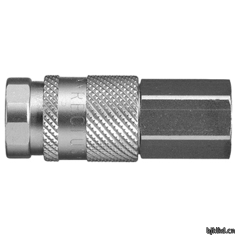 48401080 Quick Coupling