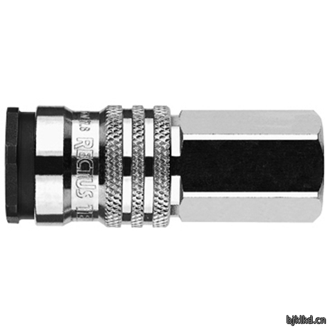 48901180 Quick Coupling