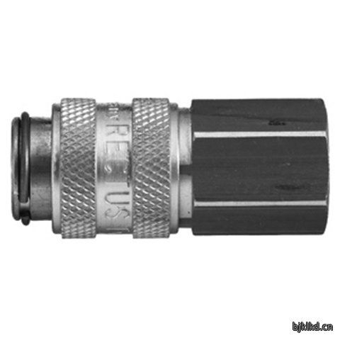 45593205 Quick Coupling
