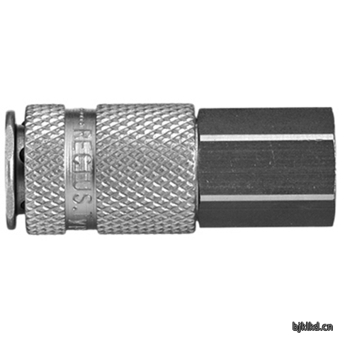 45090800 Quick Coupling
